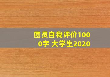 团员自我评价1000字 大学生2020